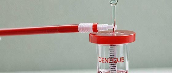 Recién se empezaría a vacunar contra el Denggi: Un paso crucial en la lucha contra un enemigo letal